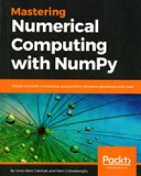 MASTERING NUMERICAL COMPUTING WITH NUMPY