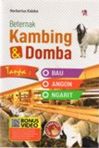 BETERNAK KAMBING DAN DOMBA TANPA BAU ANGON NGARIT