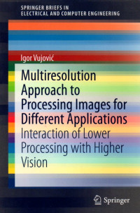 MULTIRESOLUTION APPROACH TO PROCESSING IMAGE FOR DIFFERENT APLICATION