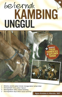 BETERNAK KAMBING UNGGUL