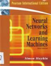 NEURAL NETWORKS AND LEARNING MACHINES