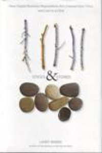 Image of Sticks & stones : how digital reputations are created over time and lost in a click