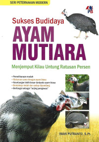 SUKSES BUDIDAYA AYAM MUTIARA