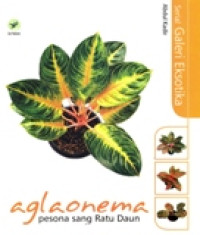 AGLAONEMA PESONA SANG RATU DAUN