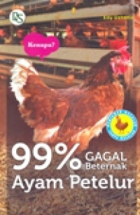 99% GAGAL BETERNAK AYAM PETELUR