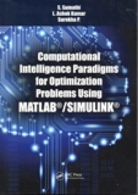 COMPUTATIONAL INTELLIGENCE PARADIGMS FOR OPTIMIZATION  PROBLEMS USING MATLAB / SIMULINK