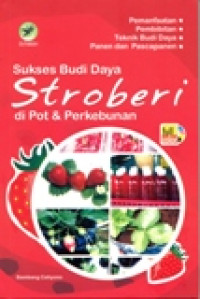 SUKSES BUDI DAYA STROBERI DI POT DAN PERKEBUNAN