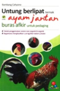 UNTUNG BERLIPAT TERNAK AYAM JANTAN BURAS AFKIR UNTUK PEDAGING