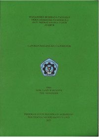 MANAJEMEN BUDIDAYA TANAMAN OKRA (ABELMOSCHUS ESCULENTUS (L.) DI PT MITRATANI DUA TUJUH JEMBER