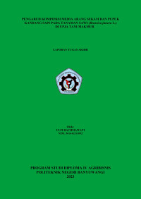 PENGARUH KOMPOSISI MEDIA ARANG SEKAM DAN PUPUK KANDANG SAPI PADA TANAMAN SAWI (BRASSICA JUNCEA L.) DI UPJA TANI MAKMUR