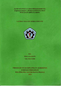 ALUR TATANIAGA CABAI MERAH KERITING (CAPSICUM ANNUM L.) DI BALAI PENYULUHAN PERTANIAN (BPP) CLURING