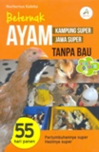 BETERNAK AYAM KAMPUNG SUPER AYAM JAWA SUPER TANPA BAU